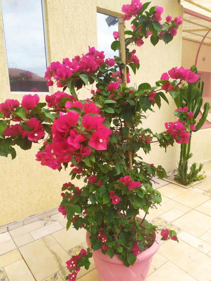בוטוקאטו Pousada Lua Cheia מראה חיצוני תמונה